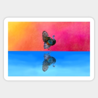 Ocellated Turkey Reflection Sticker